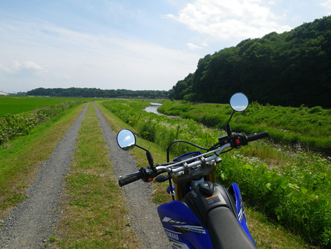 YAMAHA WR250R