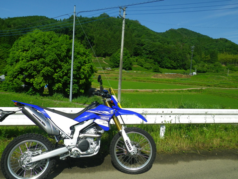 YAMAHA WR250R