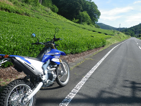 YAMAHA WR250R