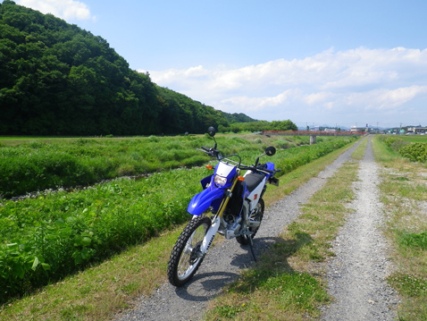 YAMAHA WR250R