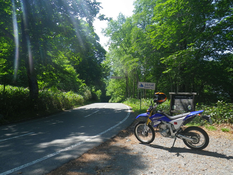 YAMAHA WR250R