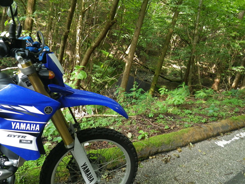 YAMAHA WR250R