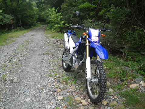 YAMAHA WR250R