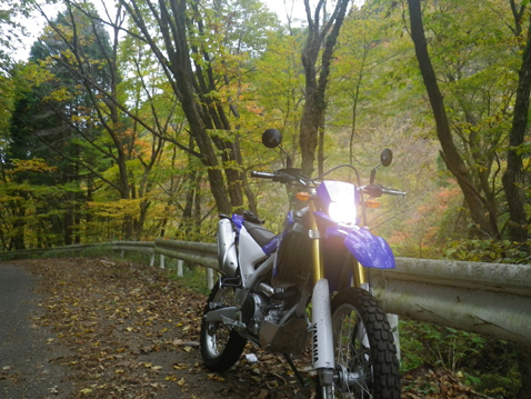 YAMAHA WR250R