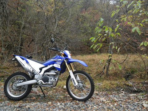 YAMAHA WR250R