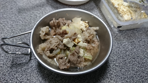 柴犬 零 静