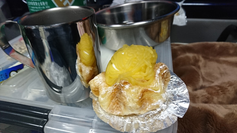 柴犬 零 静