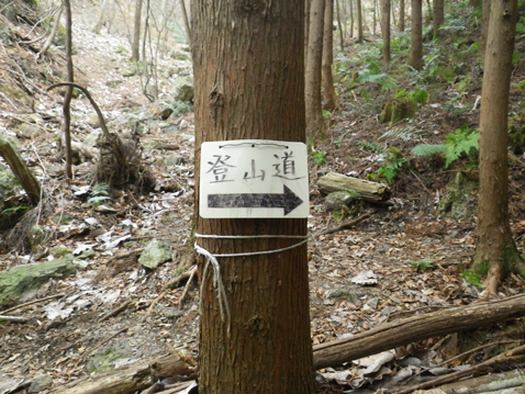古賀志山