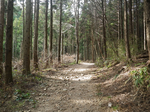 古賀志山