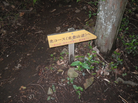 古賀志山