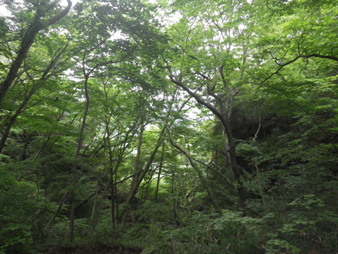 古賀志山