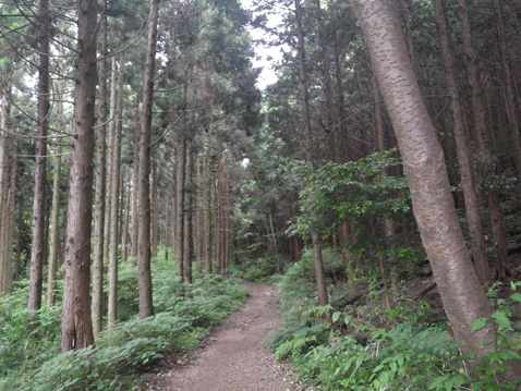 古賀志山