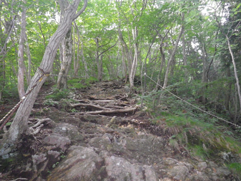 古賀志山
