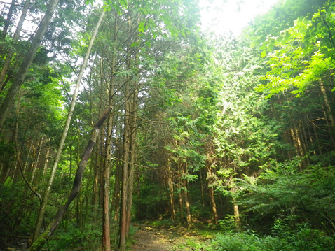 古賀志山