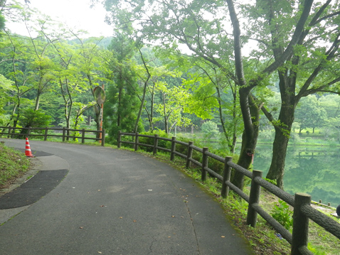 古賀志山